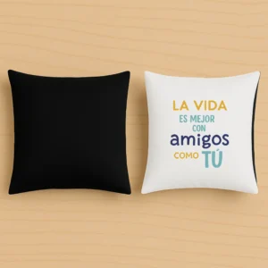 Cojín original la vida es mejor con amigos como tu