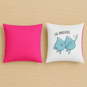 Cojín original las amigotas