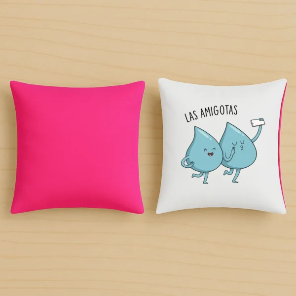 Cojín original las amigotas
