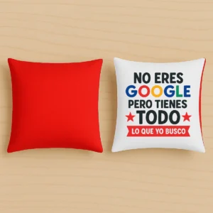 cojín rojo "no eres Google pero tienes todo lo que yo busco"