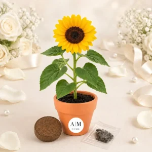 Maceta maceta con semillas de girasol boda iniciales