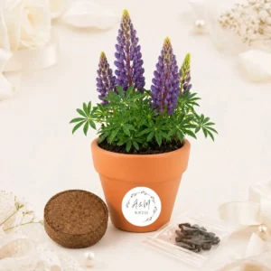 Maceta maceta con semillas de lupine boda basic