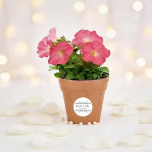 Maceta maceta con semillas de petunia boda bouquet