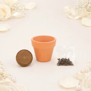 Maceta maceta con semillas de girasol boda