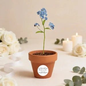 Maceta con semillas "no me olvides" boda bouquet