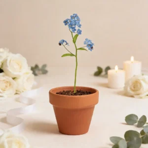 Maceta con semillas "no me olvides" boda
