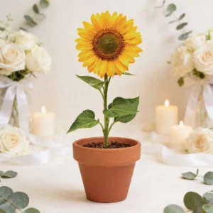 Maceta con semillas de girasol boda  misma imagen