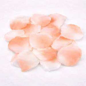 Confeti pétalos de rosa color rosa boda