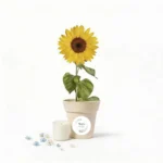 Maceta blanca con semillas de girasol personalizada de comunión, diseño Flor verde