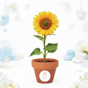 Maceta con semillas de girasol bautizo elementos ella
