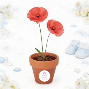 Maceta con semillas de amapola bautizo elementos ella