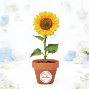 Maceta con semillas de girasol bautizo rosa rosada