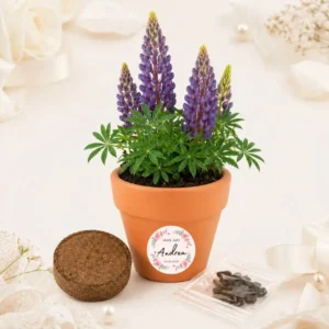 Maceta terracota con semillas de lupine bautizo rosa rosada