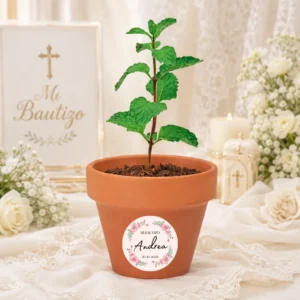 Maceta con semillas de menta bautizo rosa rosada