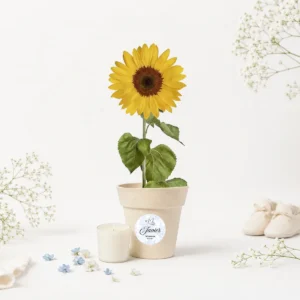 Maceta blanca con semillas de girasol bautizo paloma niño
