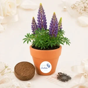 Maceta con semillas de lupine personalizada de bautizo, diseño Huellas niño