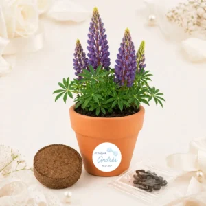 Maceta con semillas de lupine personalizada de bautizo, diseño Pajarita niño