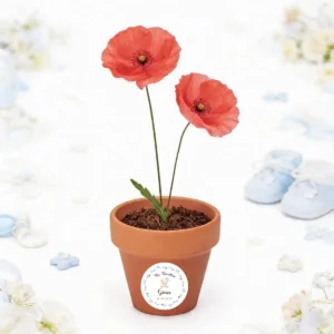 Maceta con semillas de amapola bautizo osito niño
