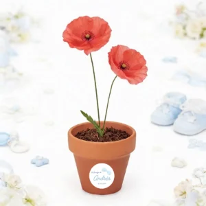 Maceta con semillas de amapola personalizada de bautizo, diseño Pajarita niño