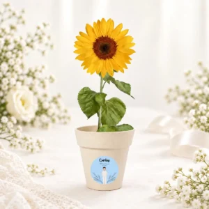 Maceta blanca con semillas de girasol personalizada de comunión, diseño Arco espigas niño