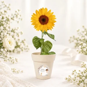 Maceta blanca con semillas de girasol personalizada de comunión, diseño Niño beige