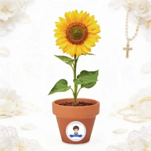 Maceta con semillas de girasol personalizada de comunión, diseño Niño marinero