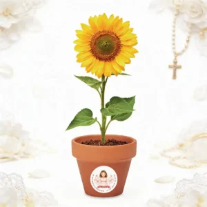 Maceta con semillas de girasol personalizada de comunión, diseño Niña acuarela