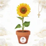 Maceta con semillas de girasol personalizada de comunión, diseño Amalfi niña