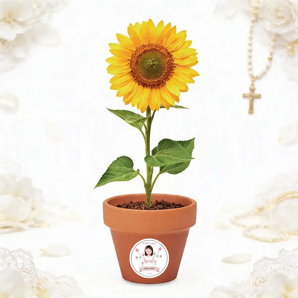 Maceta con semillas de girasol comunión amalfi niña