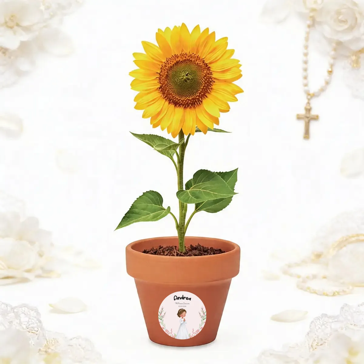 Maceta con semillas de girasol comunión arco flores niña