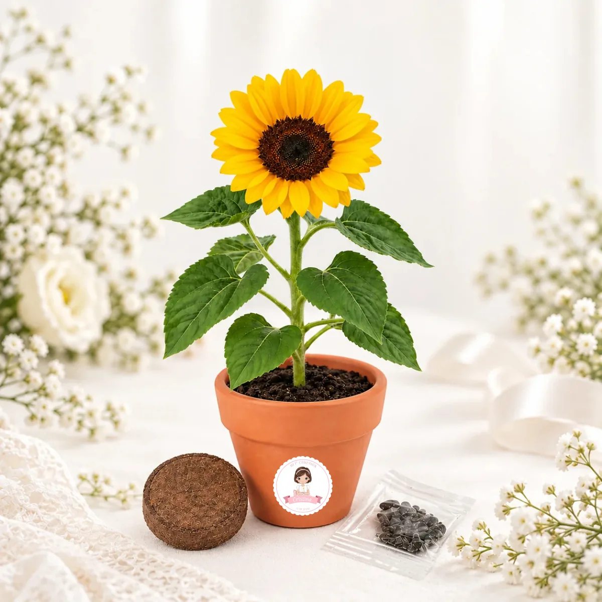 Maceta kit cultivo girasoles comunión niña lazo