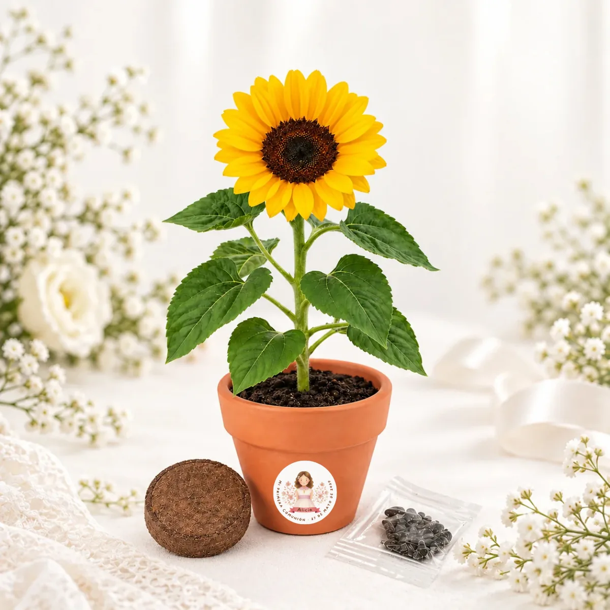 Maceta kit cultivo girasoles comunión niña acuarela