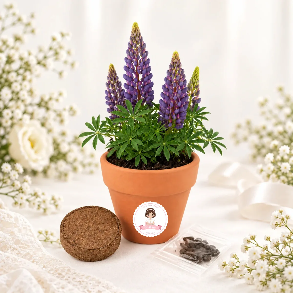 Maceta maceta con semillas de lupine comunión niña lazo