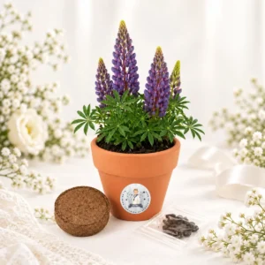 Maceta con semillas de lupine personalizada de comunión, diseño Niño acuarela