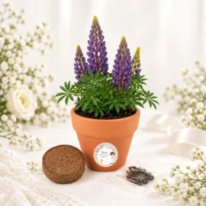 Maceta con semillas de lupine personalizada de comunión, diseño Niño beige