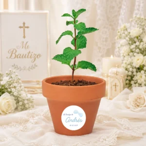 Maceta con semillas de menta personalizada de bautizo, diseño Pajarita niño