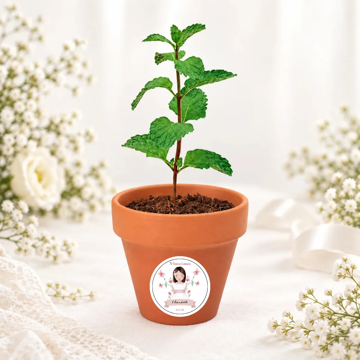 Maceta con semillas de menta comunión amalfi niña