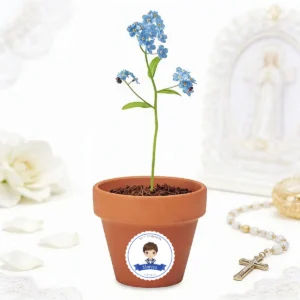 Maceta con semillas "no me olvides" personalizada de comunión, diseño Niño marinero