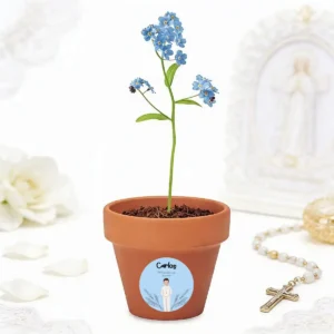 Maceta con semillas "no me olvides" personalizada de comunión, diseño Arco espigas niño