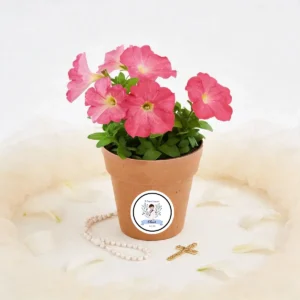Maceta con semillas de petunia personalizada de comunión, diseño Amalfi niño