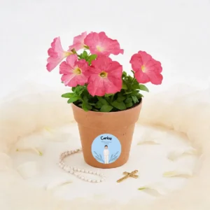 Maceta con semillas de petunia personalizada de comunión, diseño Arco espigas niño