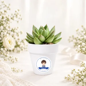 Maceta con semillas de cactus personalizada de comunión, diseño Niño marinero