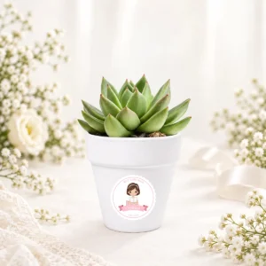 Maceta con semillas de cactus personalizada de comunión, diseño Niña lazo