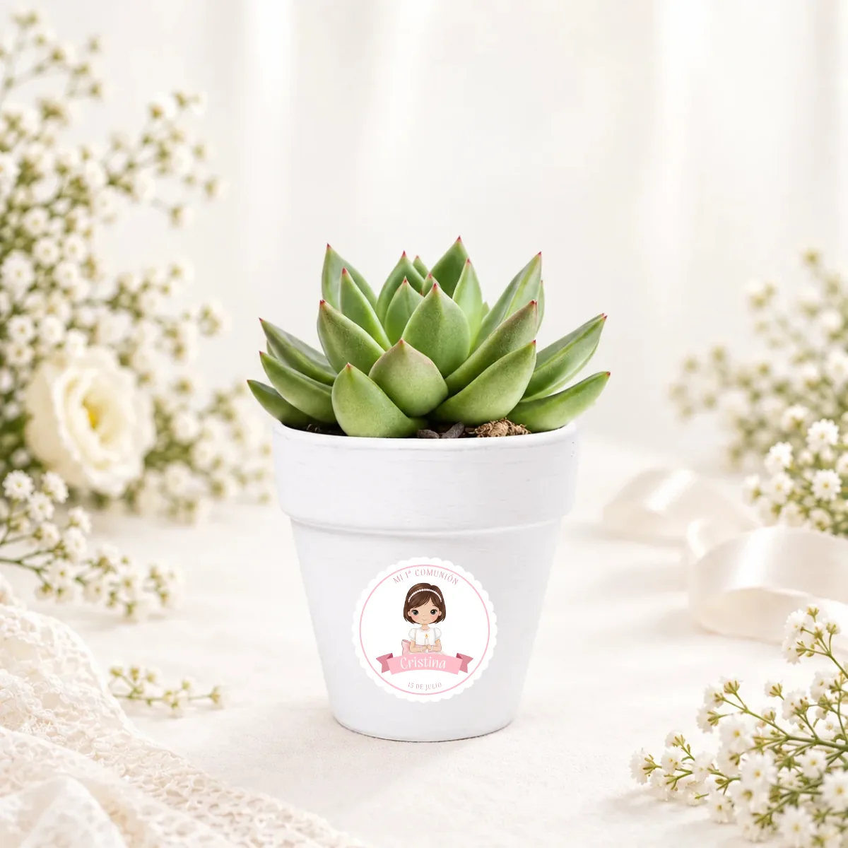 Maceta con semillas de cactus comunión niña lazo
