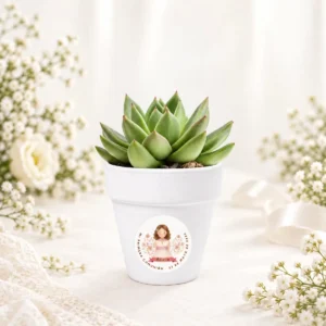 Maceta con semillas de cactus personalizada de comunión, diseño Niña acuarela