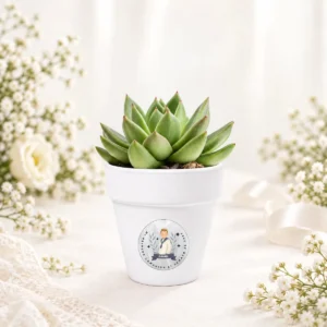 Maceta con semillas de cactus personalizada de comunión, diseño Niño acuarela