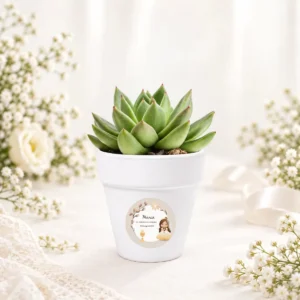 Maceta con semillas de cactus personalizada de comunión, diseño Niña beige