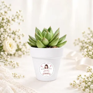 Maceta con semillas de cactus personalizada de comunión, diseño Amalfi niña