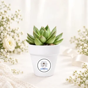 Maceta con semillas de cactus personalizada de comunión, diseño Amalfi niño