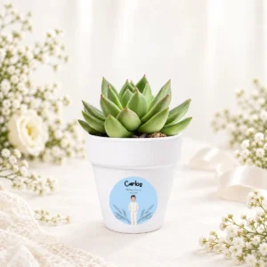 Maceta con semillas de cactus personalizada de comunión, diseño Arco espigas niño